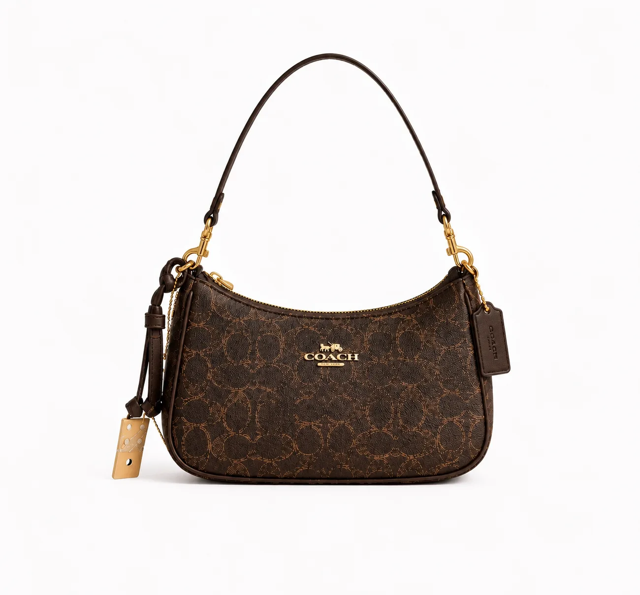 Coach Teri Shoulder Bag in Signature Canvas